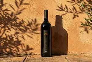 Bouteille de vin en lumière naturelle avec ombres végétales sur mur