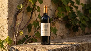 Bouteille de vin en ambiance extérieure sur mur en pierre
