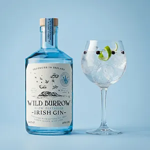 Bouteille de gin premium avec verre cocktail sur fond bleu clair